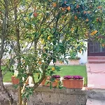Casa vacanze Francesca's Sorrento